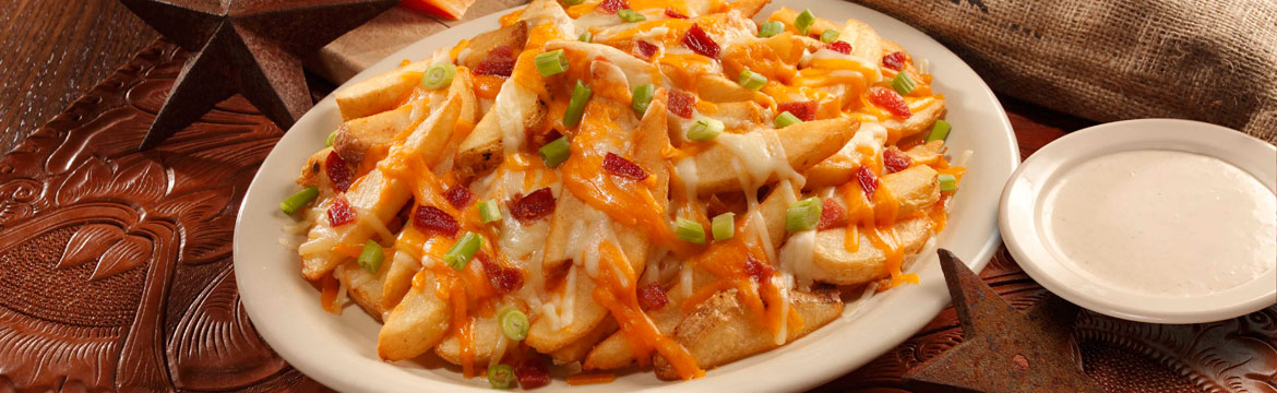 Cheese Fries Cheese Fries